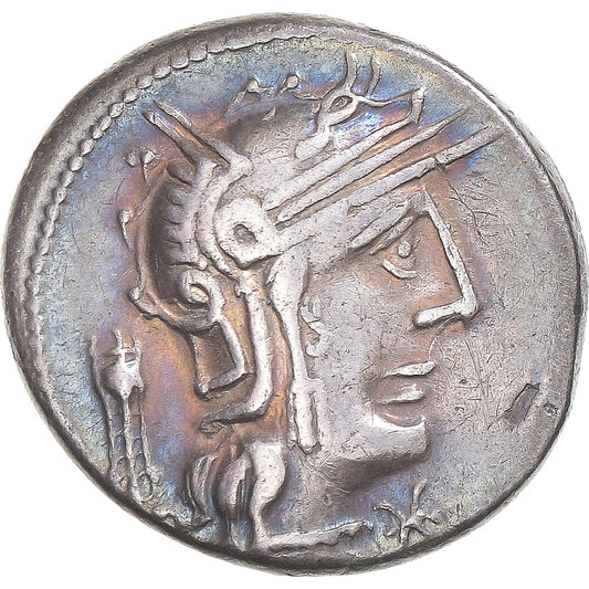 Moneta,
Opimia,
Denario