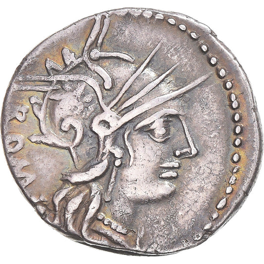 Coniare, 
  
  Tullia, 
  
  Denario