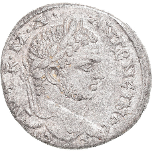 Coniare, 
  
  Seleuci e Pieria, 
  
  Caracalla