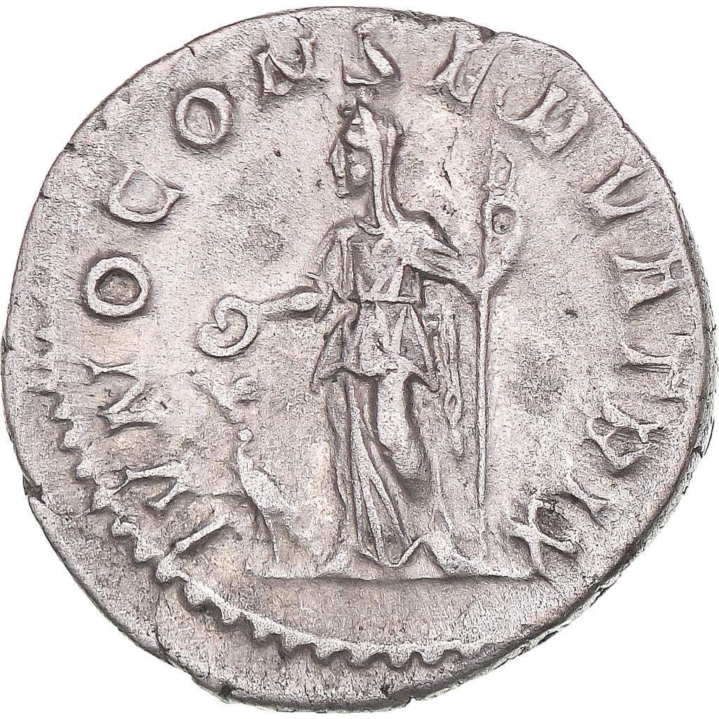Coniare, 
  
  Giulia Mamaea, 
  
  Denario