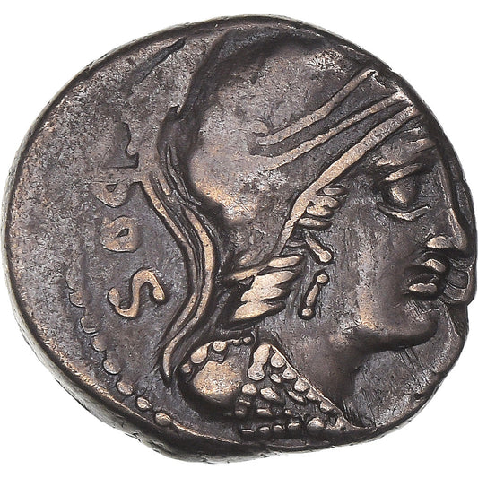 Coniare, 
  
  Rubria, 
  
  Denario