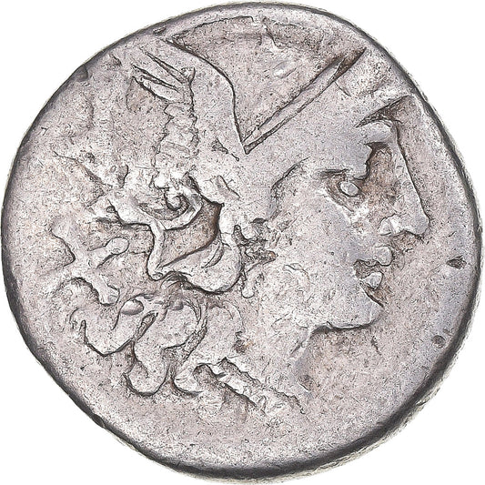 Coniare, 
  
  Scribonia, 
  
  Denario