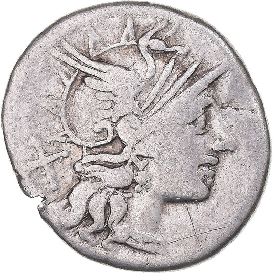 Coniare, 
  
  Saufeia, 
  
  Denario