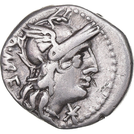 Coniare, 
  
  Cecilia, 
  
  Denario