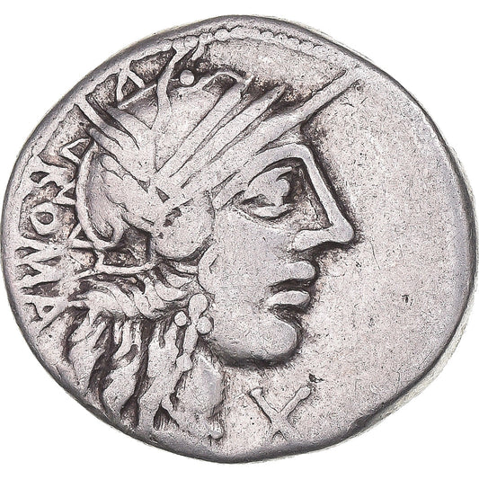 Coniare, 
  
  Fania, 
  
  Denario
