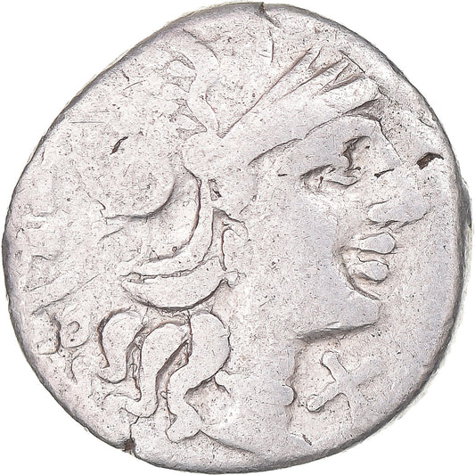 Coniare, 
  
  Lucrezia, 
  
  Denario