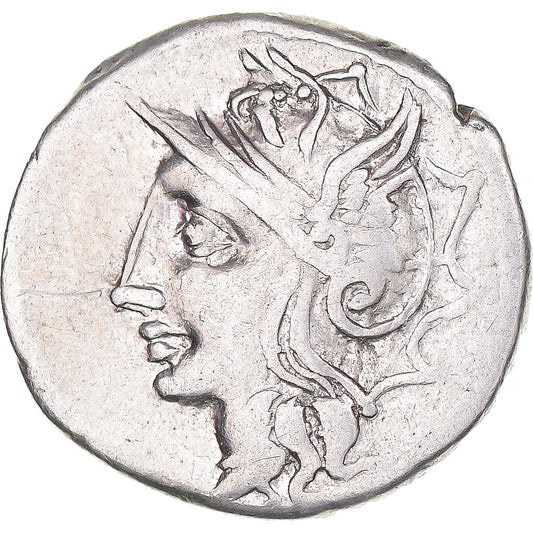 Coniare, 
  
  Appuleia, 
  
  Denario