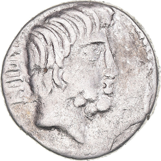 Coniare, 
  
  Tituria, 
  
  Denario