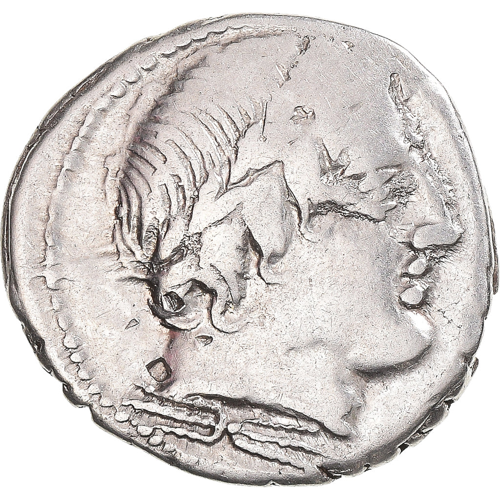 Coniare, 
  
  Gargonia, 
  
  Denario