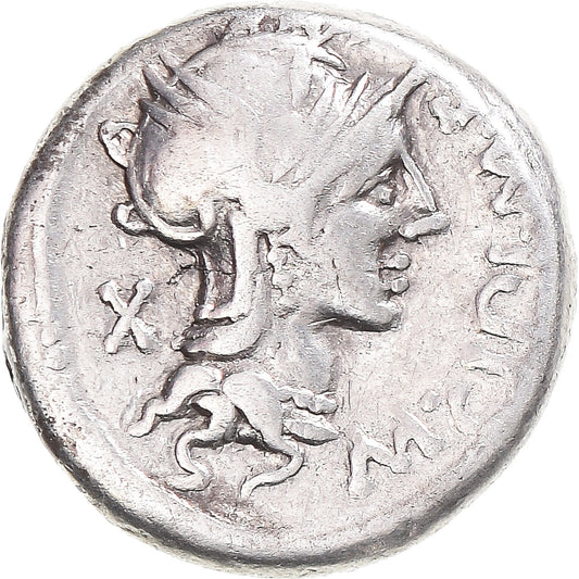 Coniare, 
  
  Cipia, 
  
  Denario