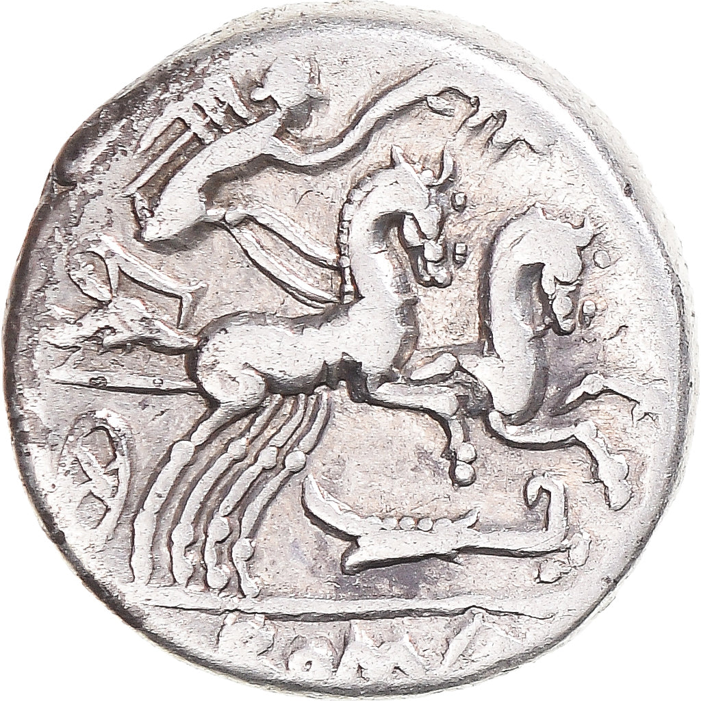 Coniare, 
  
  Cipia, 
  
  Denario