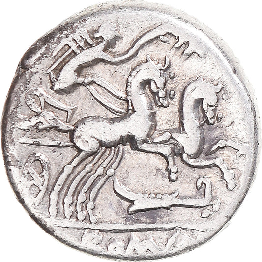 Coniare, 
  
  Cipia, 
  
  Denario