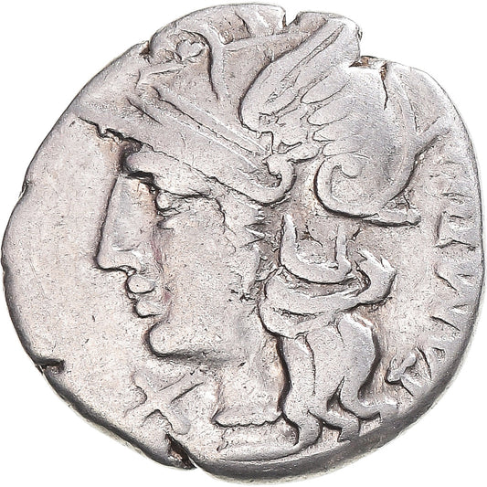 Coniare, 
  
  Baebia, 
  
  Denario