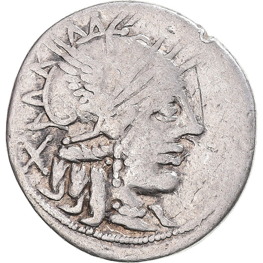 Coniare, 
  
  Papiria, 
  
  Denario