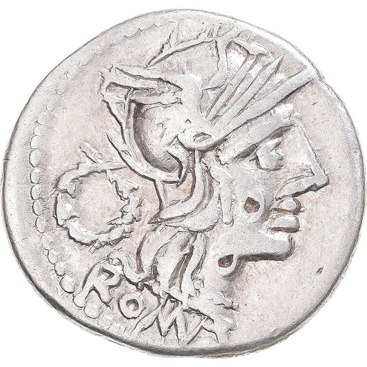 Moneta,
Cloulia,
Denario