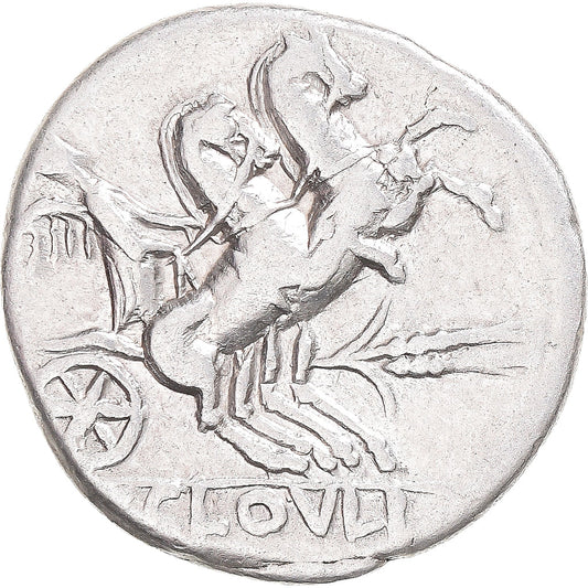 Moneta,
Cloulia,
Denario