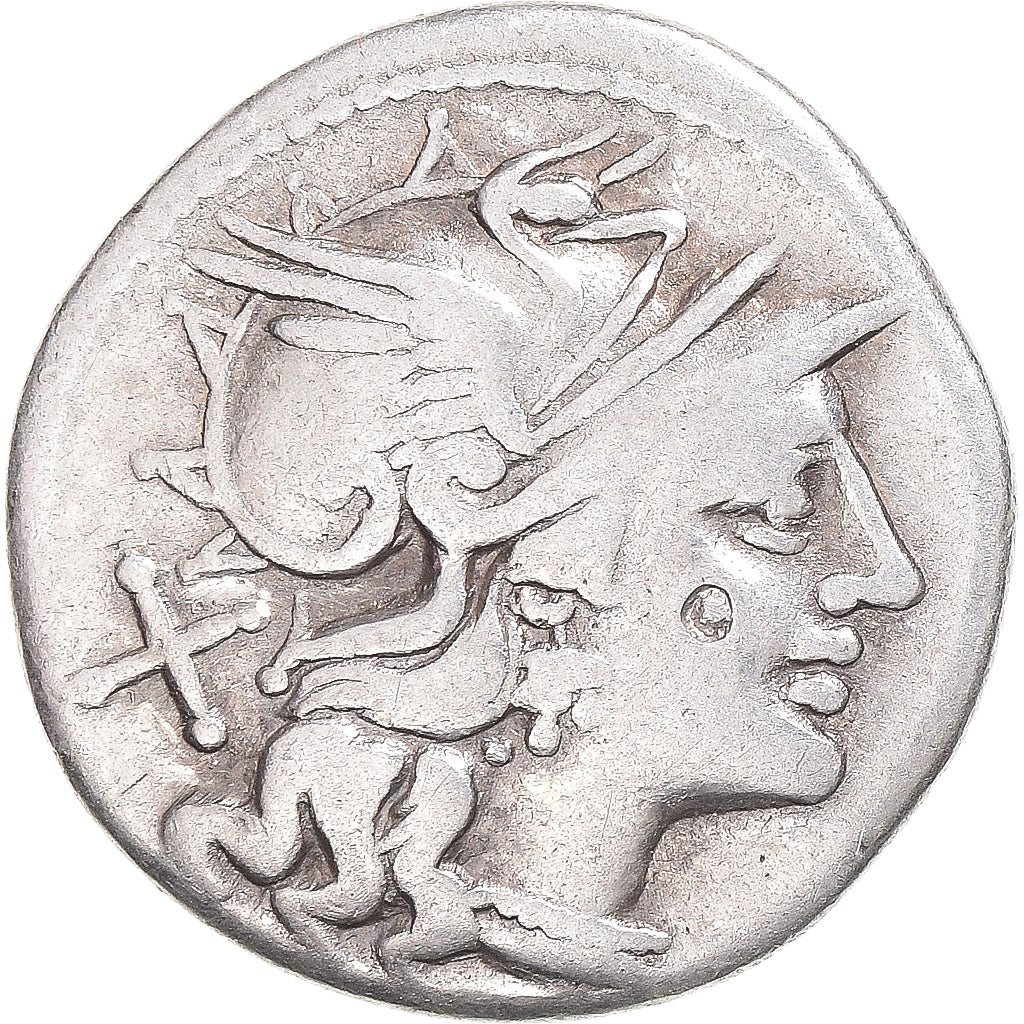 Coniare, 
  
  Safra, 
  
  Denario