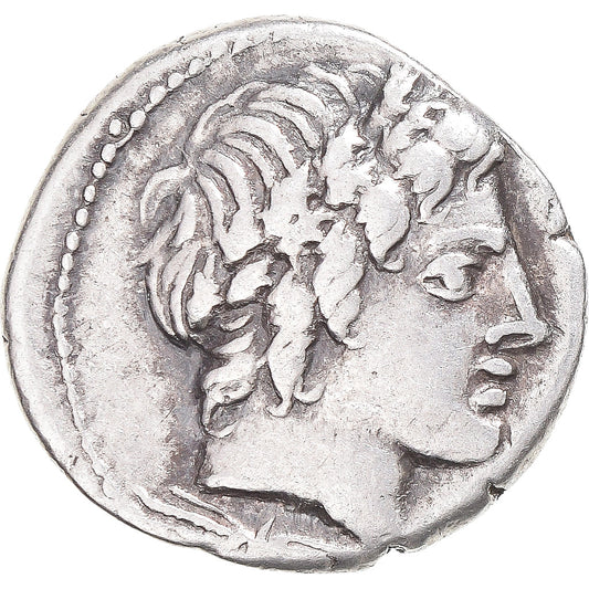 Moneta,
Gargilio,
Ogulnio