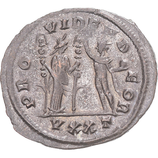 Coniare, 
  
  Severina, 
  
  Antoniniano