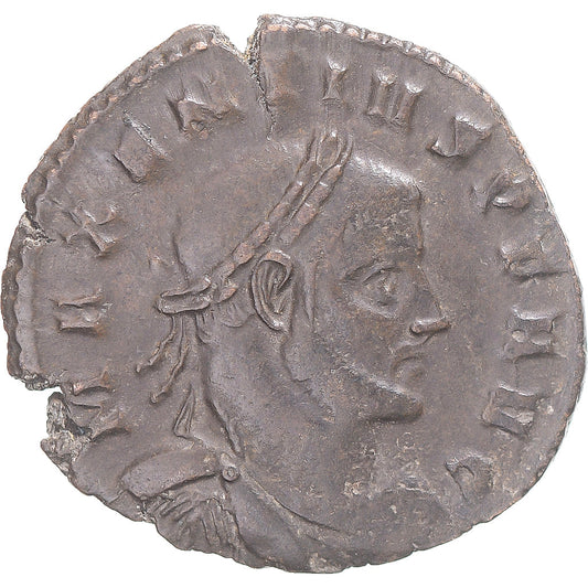 Coniare, 
  
  Massenzio, 
  
  Bronzo Æ