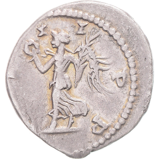 Coniare, 
  
  Settimio Severo, 
  
  Denario