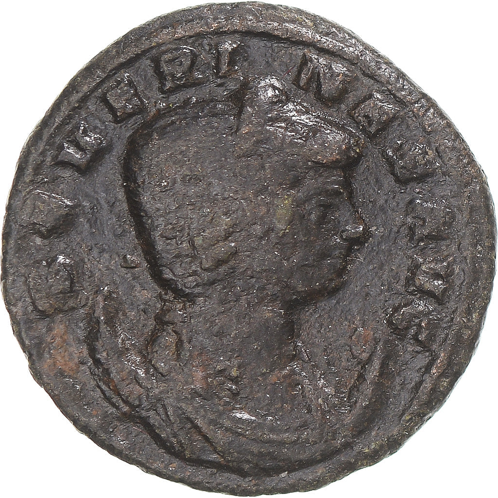 Coniare, 
  
  Severina, 
  
  Aureliano