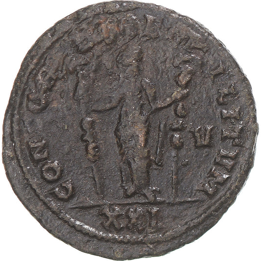 Coniare, 
  
  Severina, 
  
  Aureliano