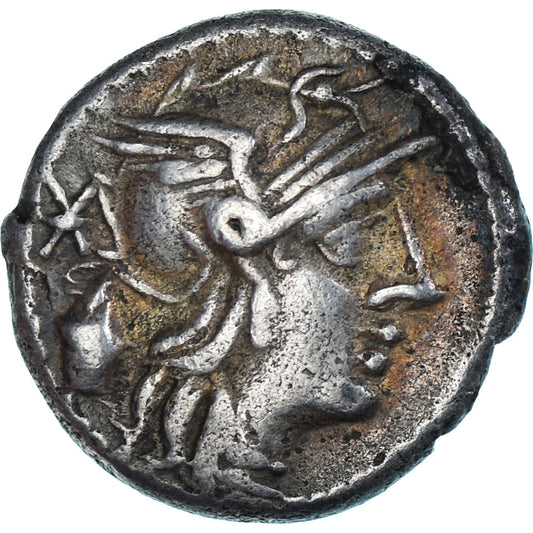 Coniare, 
  
  Cassia, 
  
  Denario