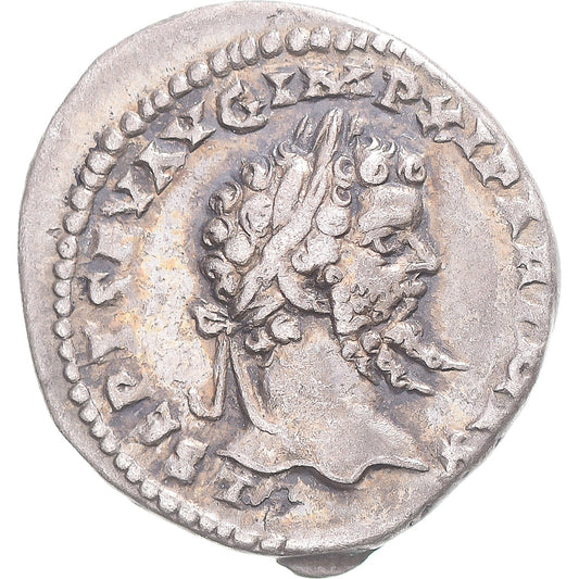 Coniare, 
  
  Settimio Severo, 
  
  Denario