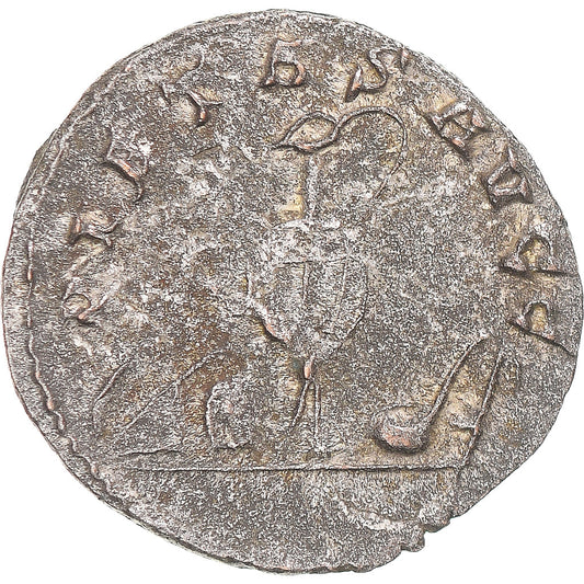 Coniare, 
  
  Salonino, 
  
  Antoniniano
